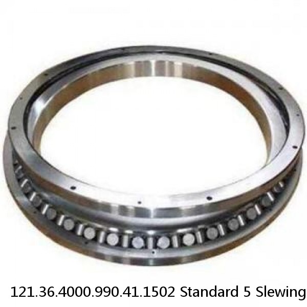 121.36.4000.990.41.1502 Standard 5 Slewing Ring Bearings