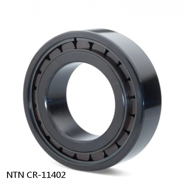 CR-11402 NTN Cylindrical Roller Bearing