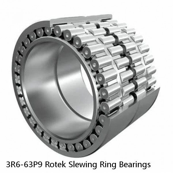 3R6-63P9 Rotek Slewing Ring Bearings