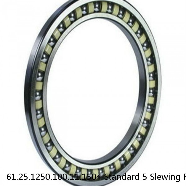 61.25.1250.100.11.1504 Standard 5 Slewing Ring Bearings