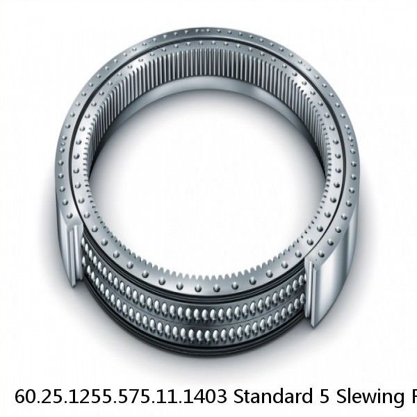 60.25.1255.575.11.1403 Standard 5 Slewing Ring Bearings