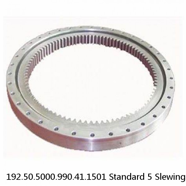 192.50.5000.990.41.1501 Standard 5 Slewing Ring Bearings