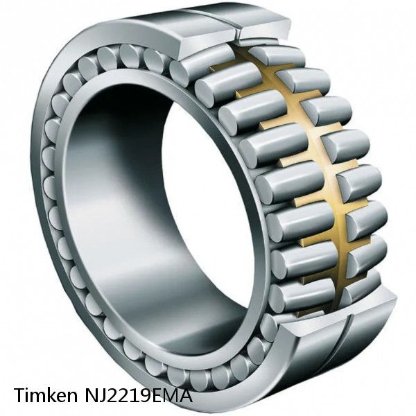 NJ2219EMA Timken Cylindrical Roller Bearing